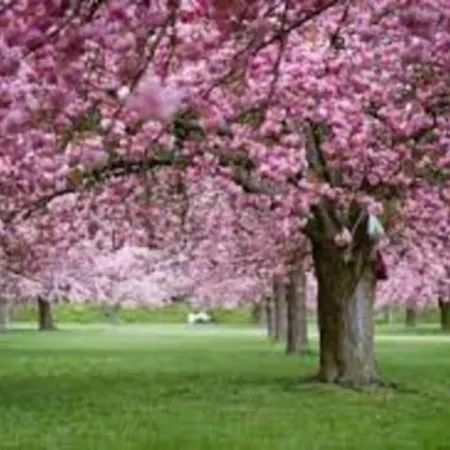 Beautiful Located South Of Paris شقة *