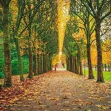 Beautiful Located South Of Paris شقة